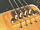 Bass