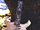 Fretboard