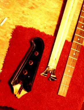 Gibson Thunderbird bass